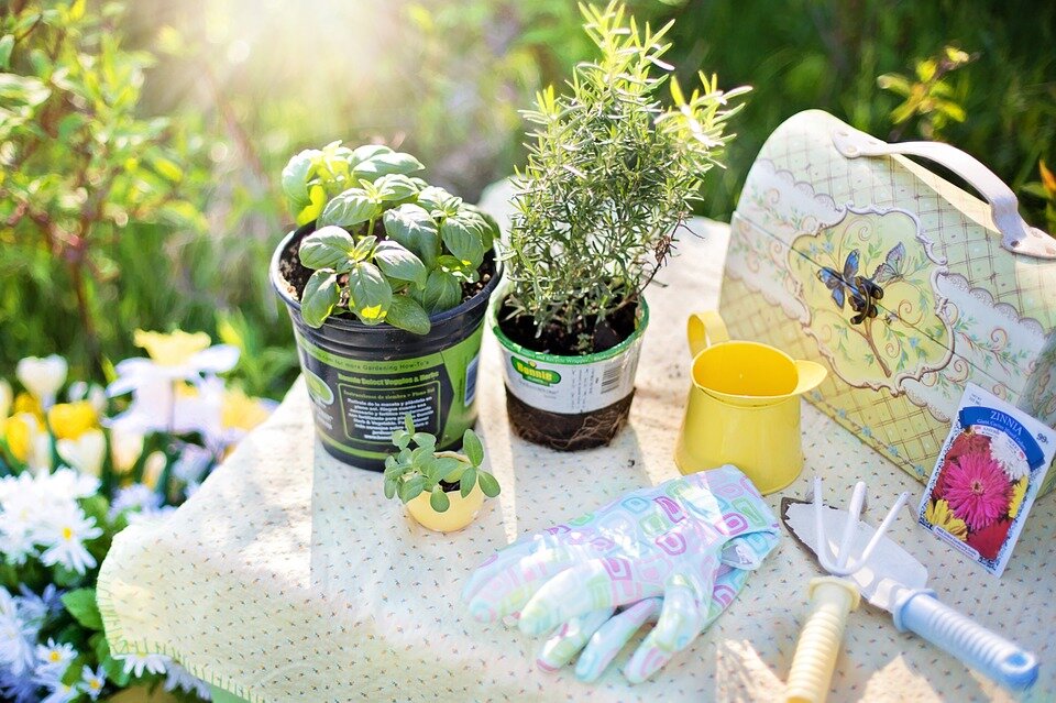 источник фото https://pixabay.com/