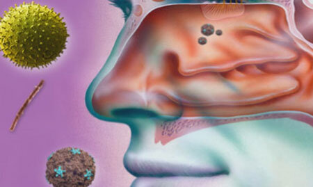 изображение взято с сайта tigramed.ru