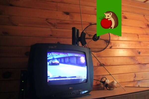 Оставлять ли телевизор на даче на зиму и чем это чревато помимо воровства?