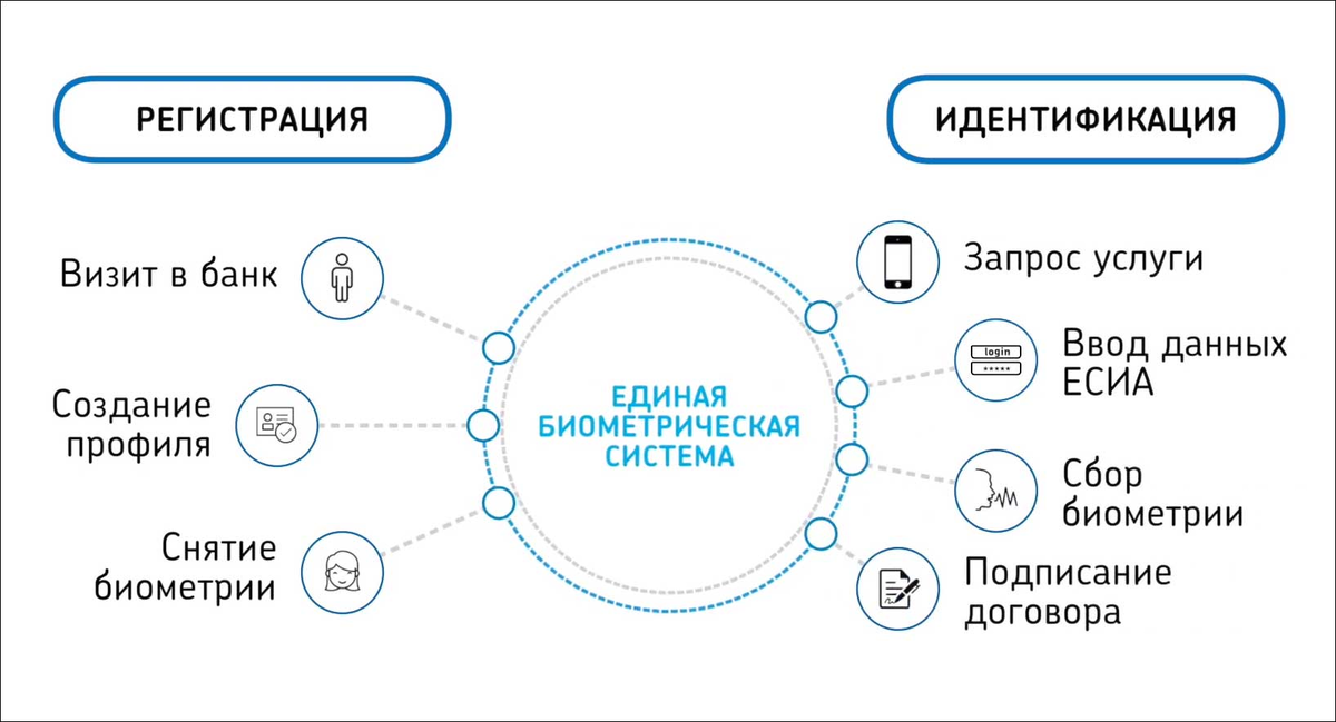 Единые биометрические данные. Единая биометрическая система схема. Биометрическая идентификация схема. Методы биометрической аутентификации. Классификация современных биометрических средств идентификации.