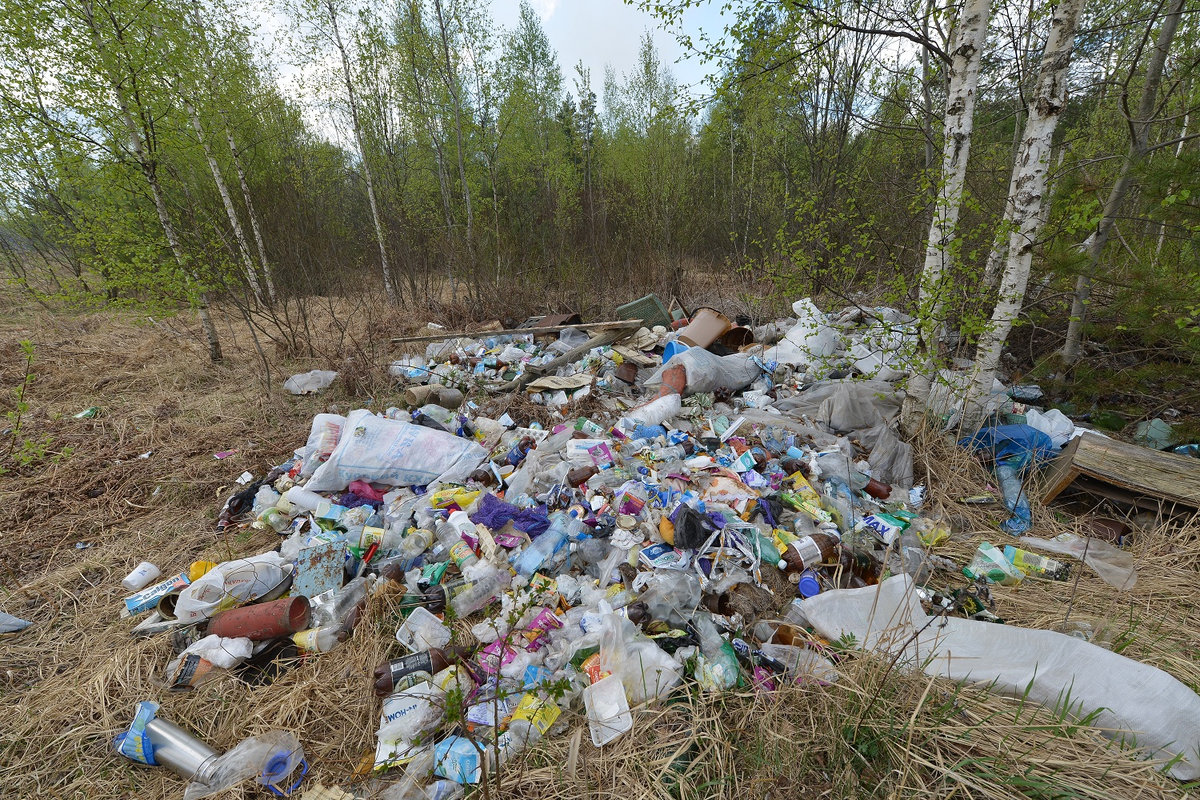 Фото в свободном доступе