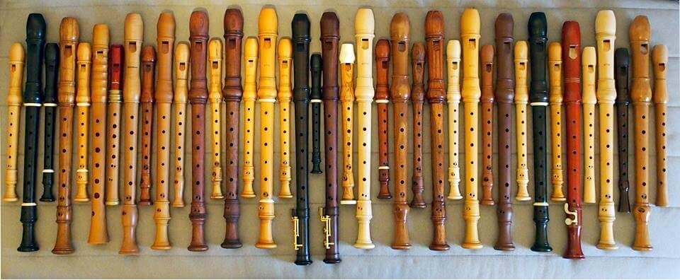 Блокфлейты бывают разных форм и размеров. Наиболее распространённая при начальном обучении блокфлейта-сопрано.