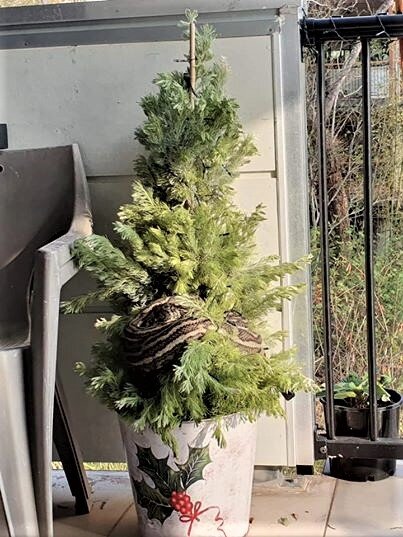 Фотографии Линн