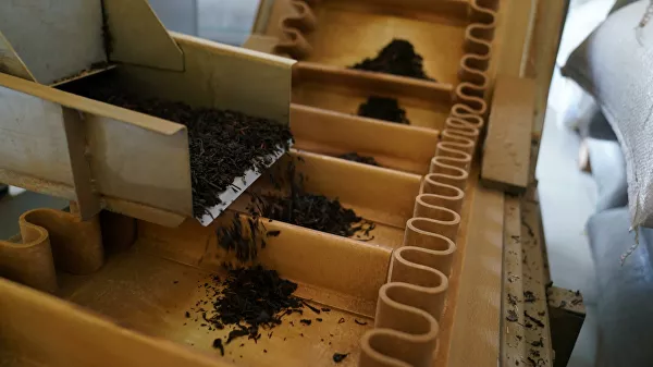 © РИА Новости / Артур Лебедев 