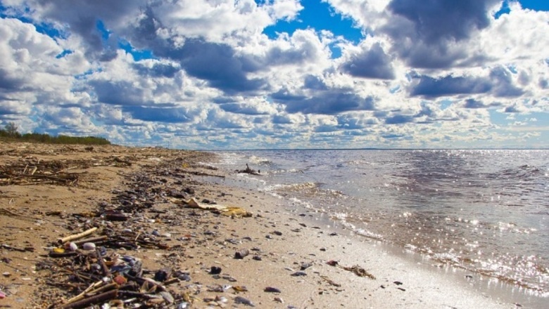  Фото: pixabay.com 