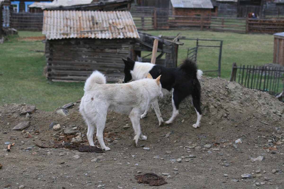 А, ты готова к этому...?