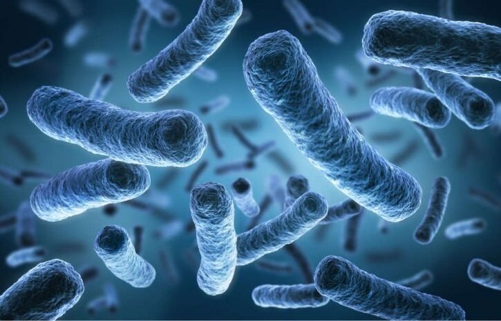 Адаптация микроорганизмов. Микроорганизмы устойчивые к антибиотикам. Антибиотики и микроорганизмы. Резистентность микроорганизмов. Резистентный микроб.