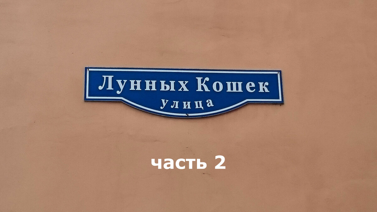 Улица Лунных Кошек на Каменном острове.