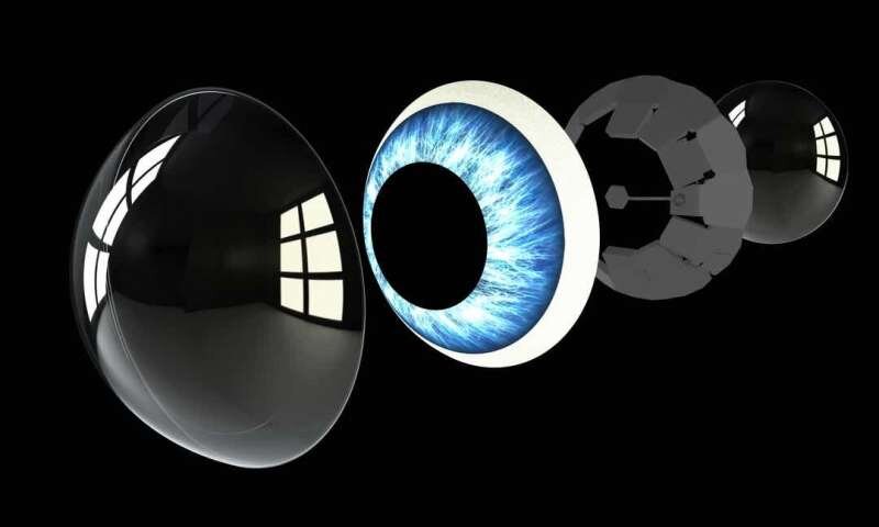 Линзы Mojo Vision.