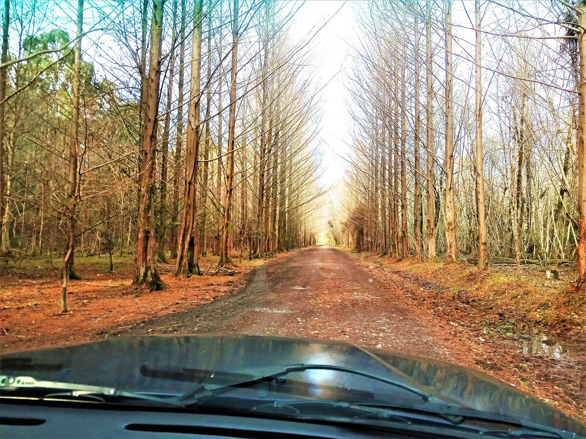 Мы въезжаем в АбНИЛОС (фото автора)