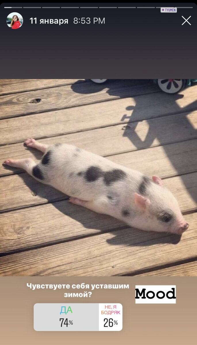 Фото из Инстаграм 