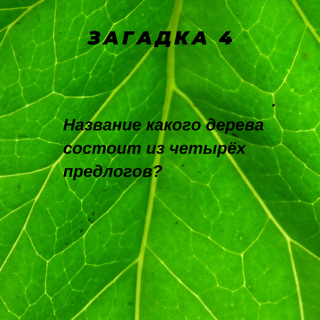 👍Загадки с подвохом. Ответом будет ребус!🤔 | Семен Семеныч | Дзен