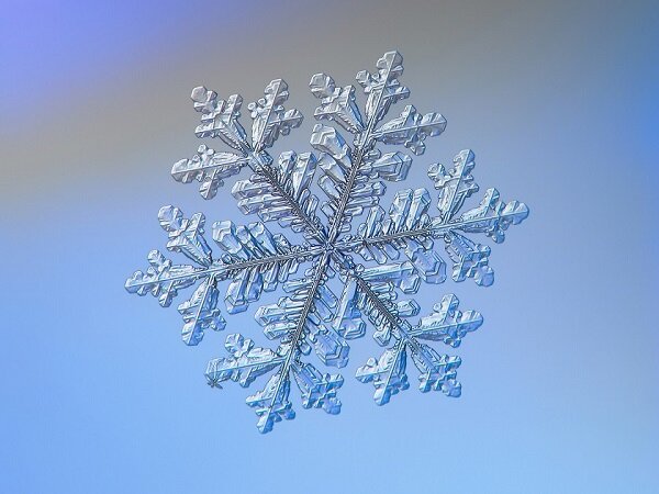 фото из открытого источника