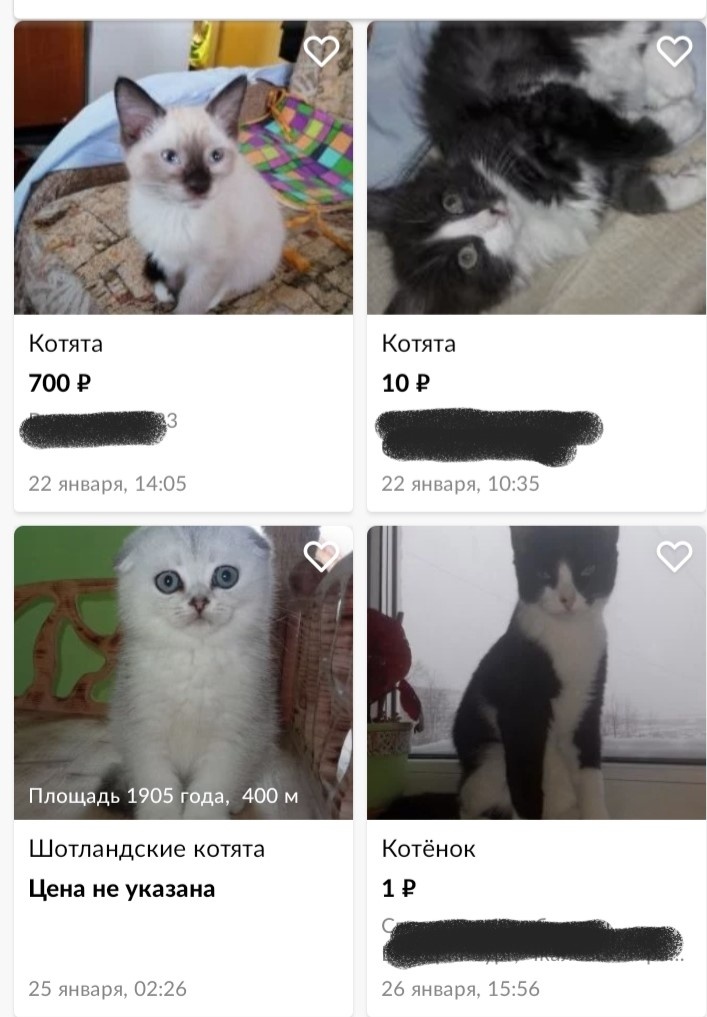 Скрин объявлений на Авито