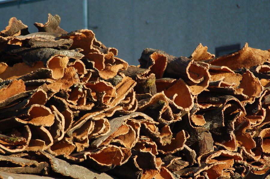 Источник фото - Яндекс.Картинки