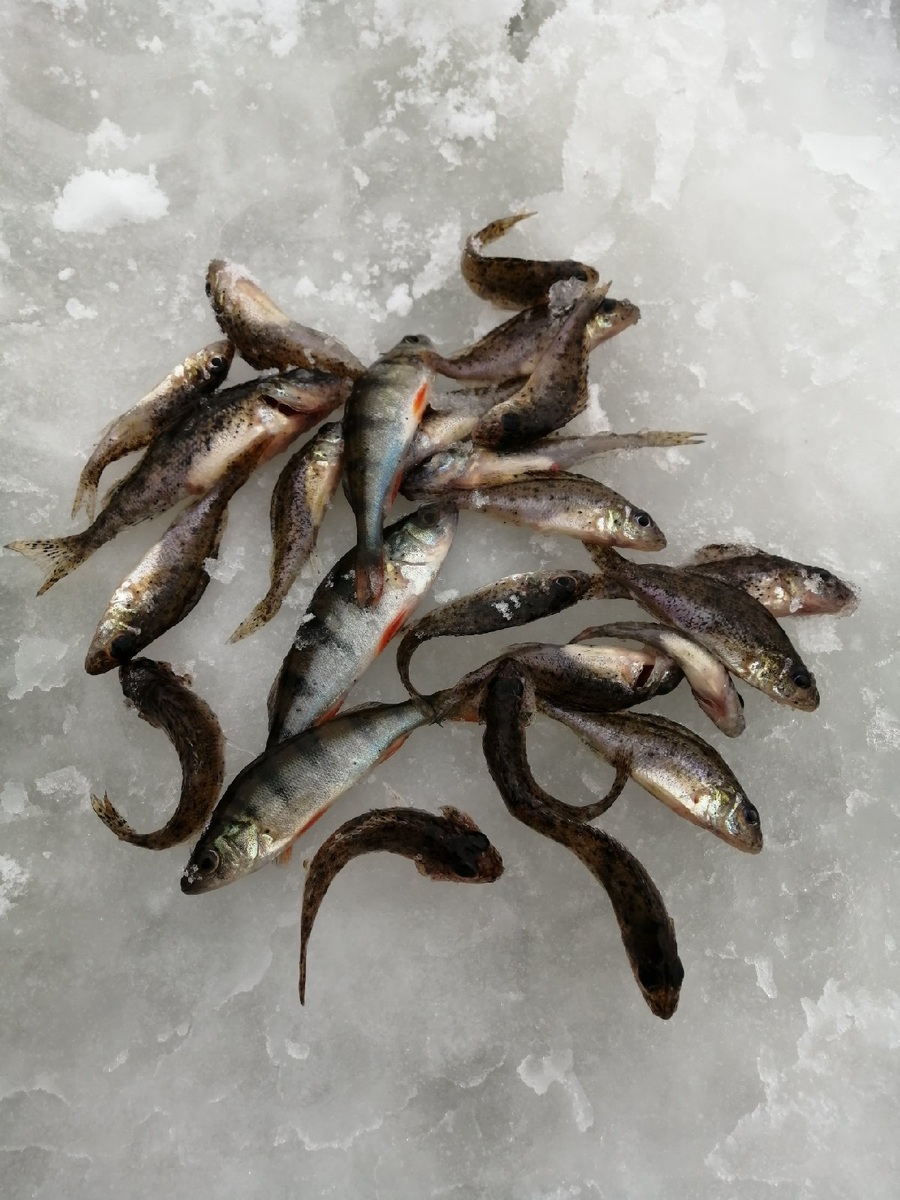 детский сад.