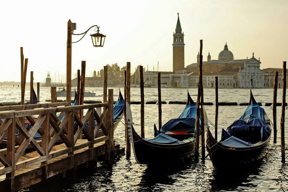 фото: А.Прохор