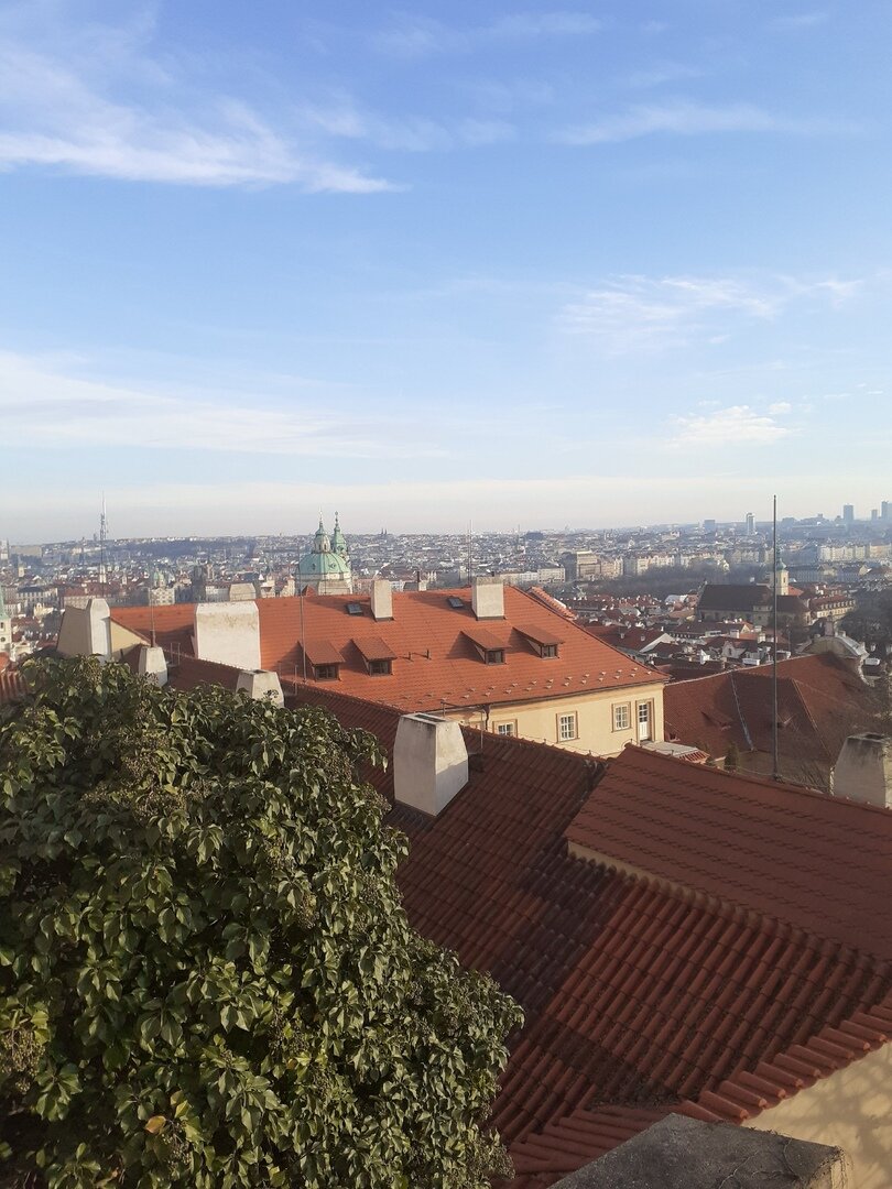 Знаменитые красные крыши.