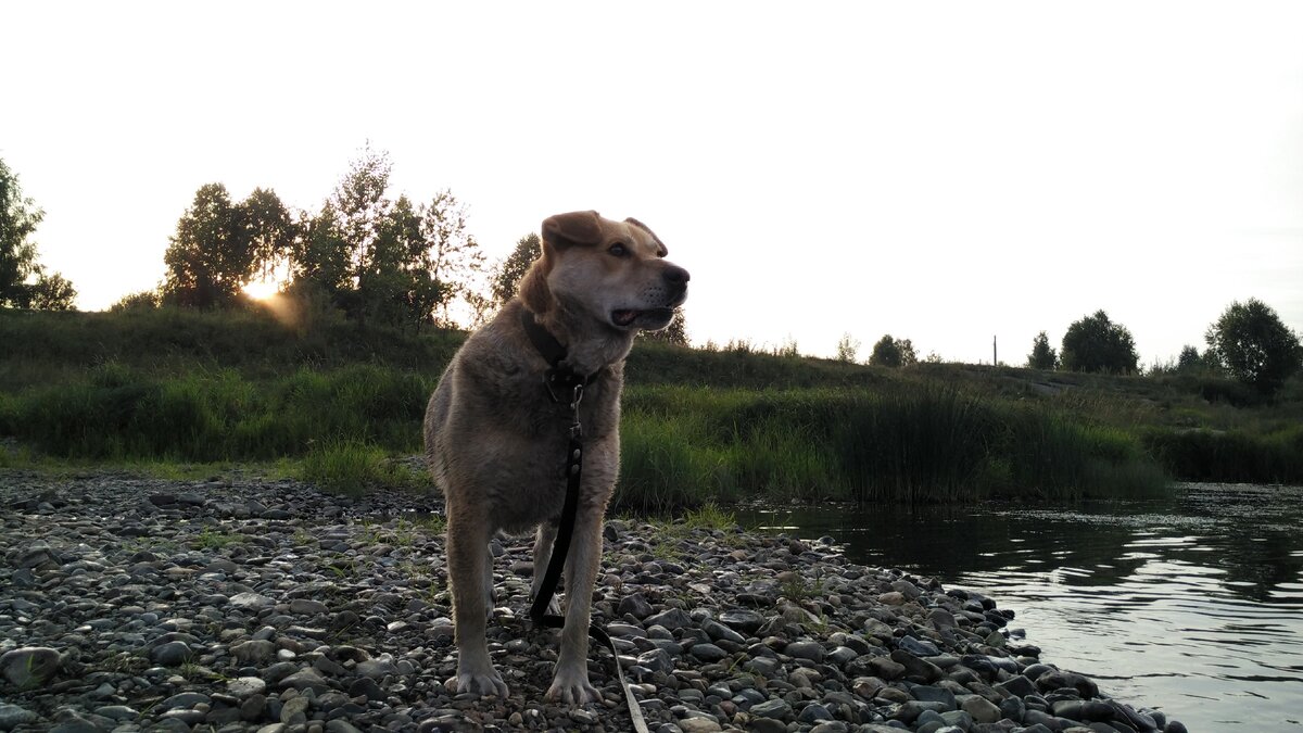 фото с лета