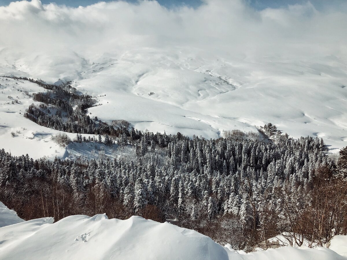 смотровая перед КПП