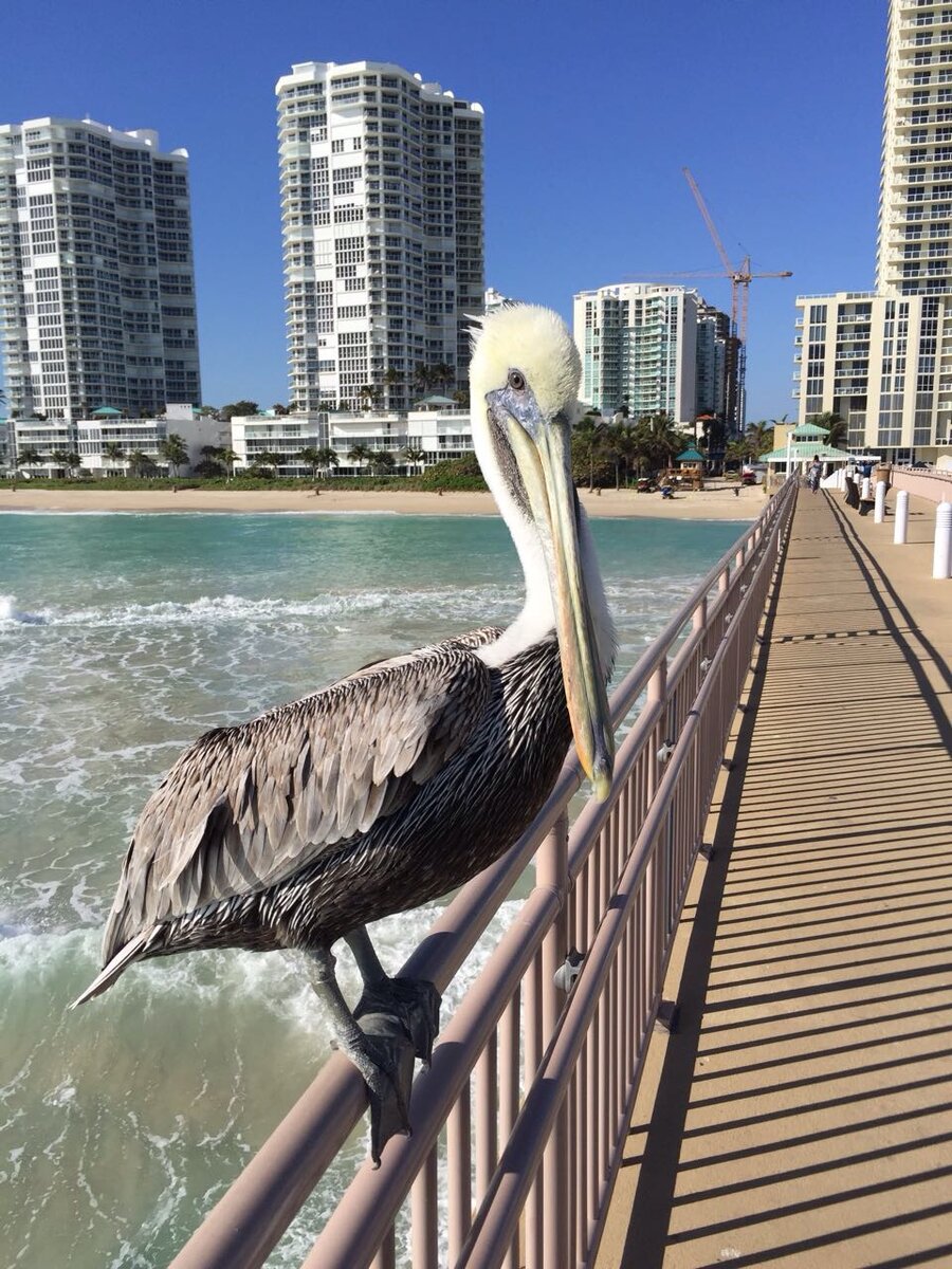 из личного архива