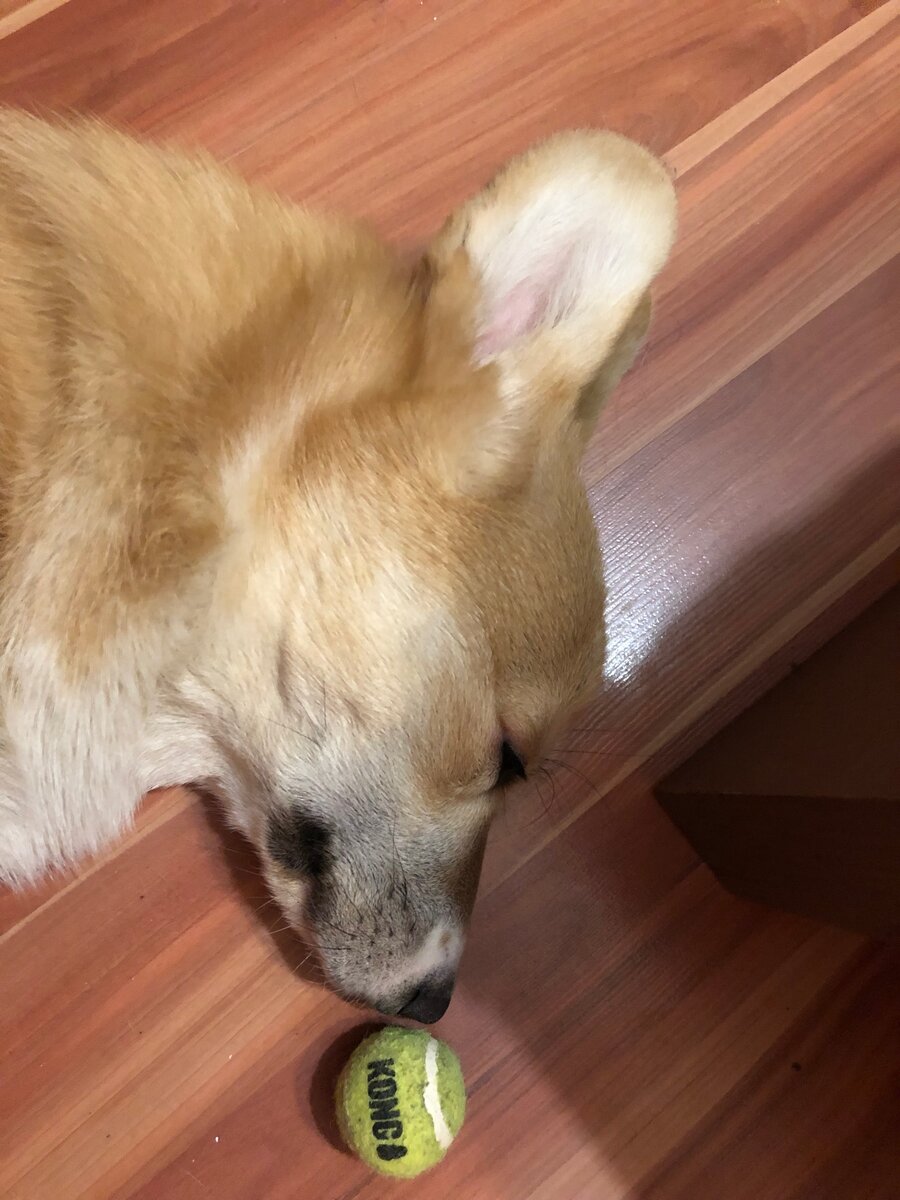 Сон по расписанию