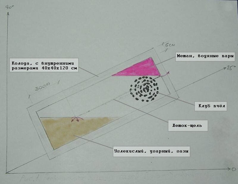 Как эффективно бороться с роением пчел