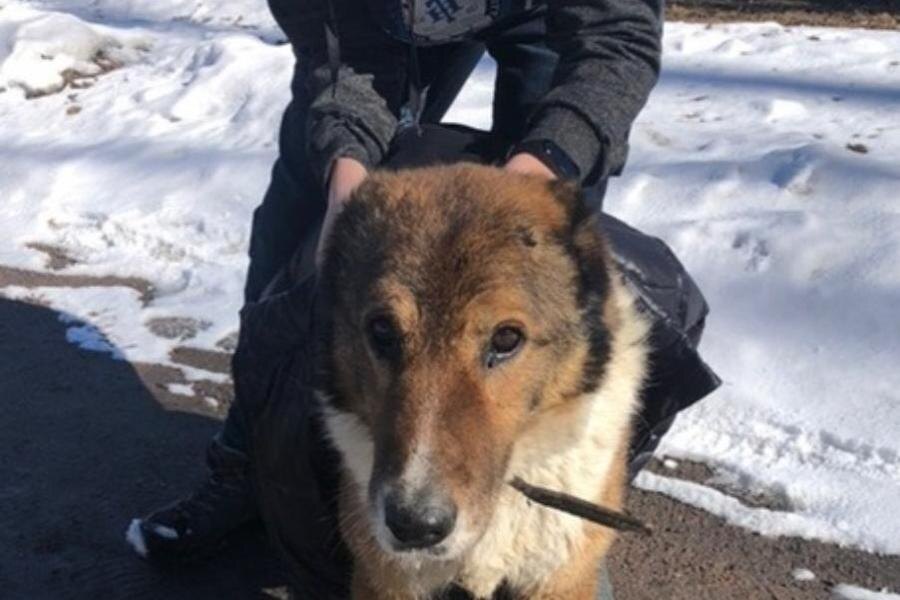 Спасённая девочка