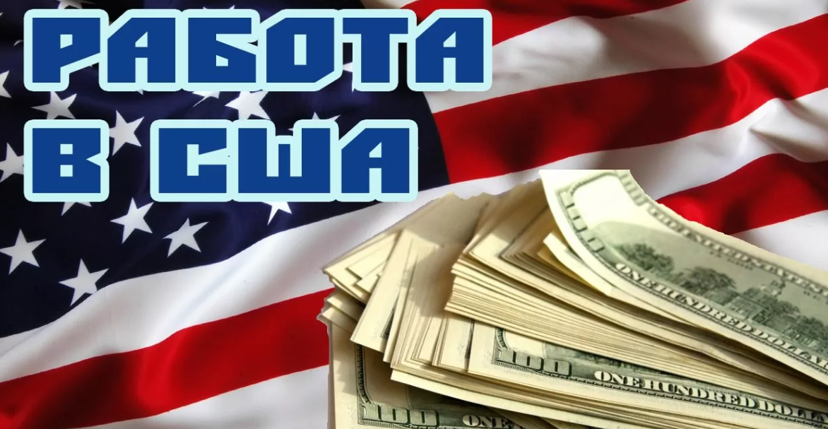 Работа сша