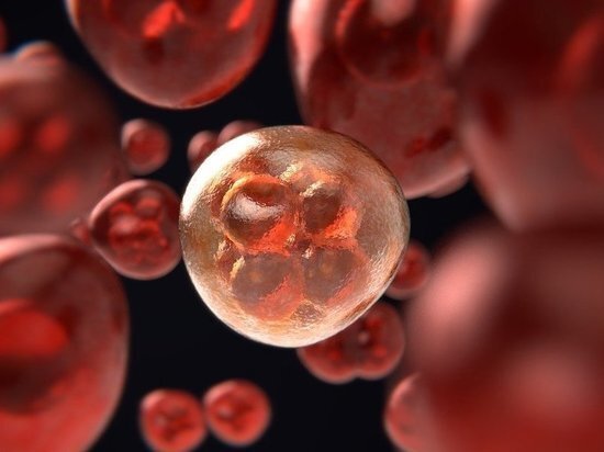 Фото - pixabay.com