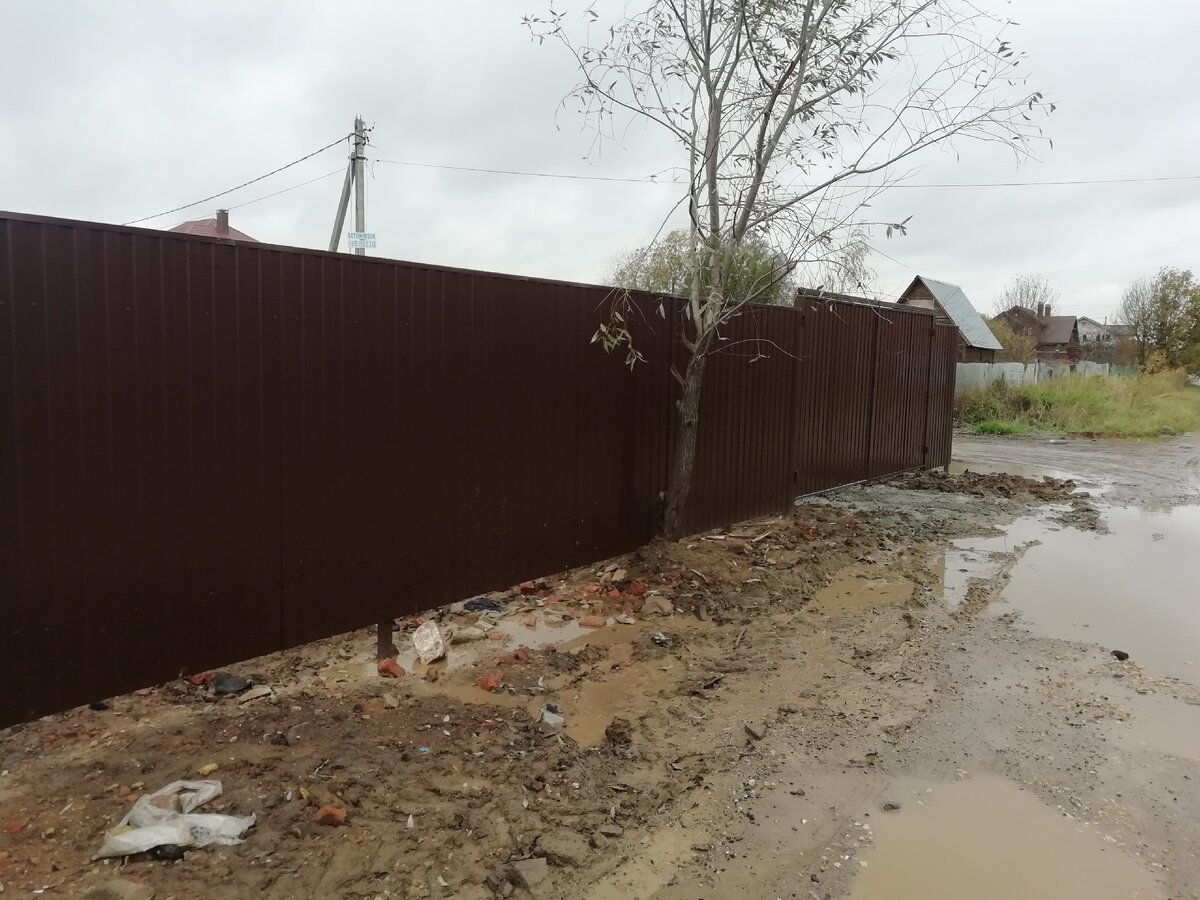 Мне удалось сохранить дерево на границе участка. Трактористы, равнявшие участок искренне недоумевали, зачем мне это.