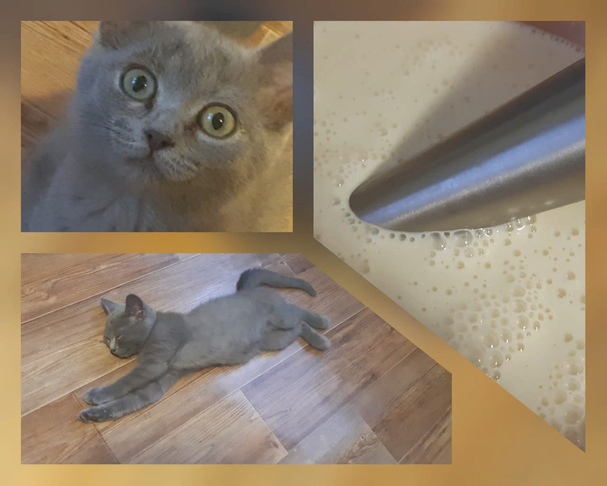 Фото из личного архива