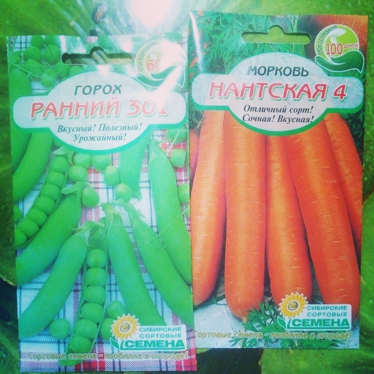 Кто садовод?