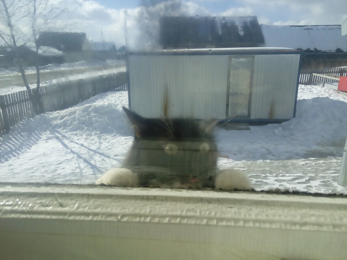 Что не так с погодой?