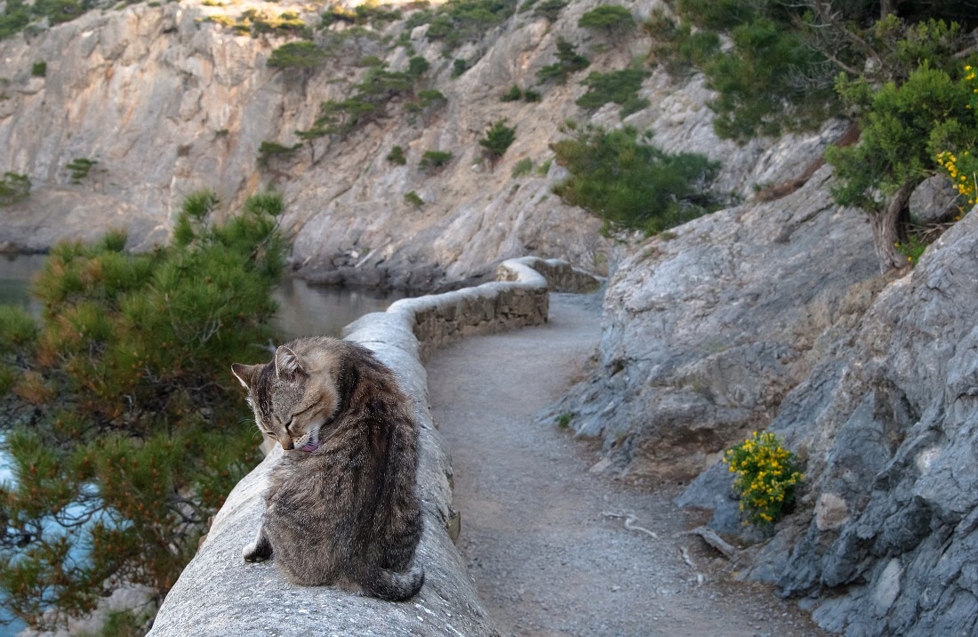 На своём посту