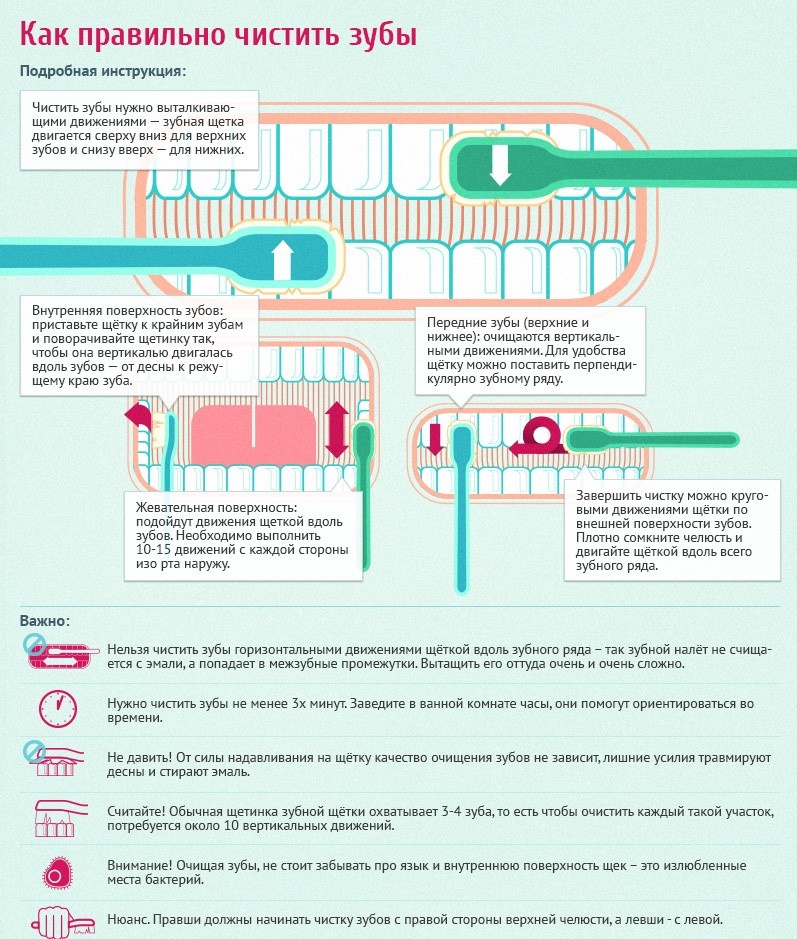 Как правильно чистить зубы 