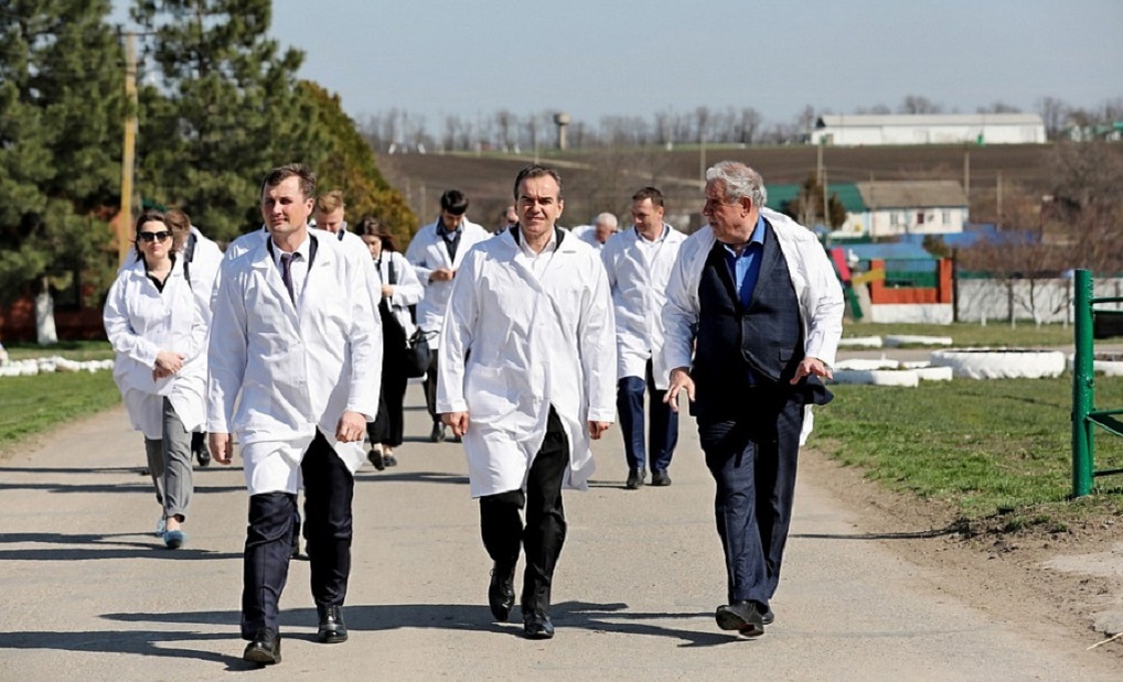  фото admkrai.krasnodar.ru