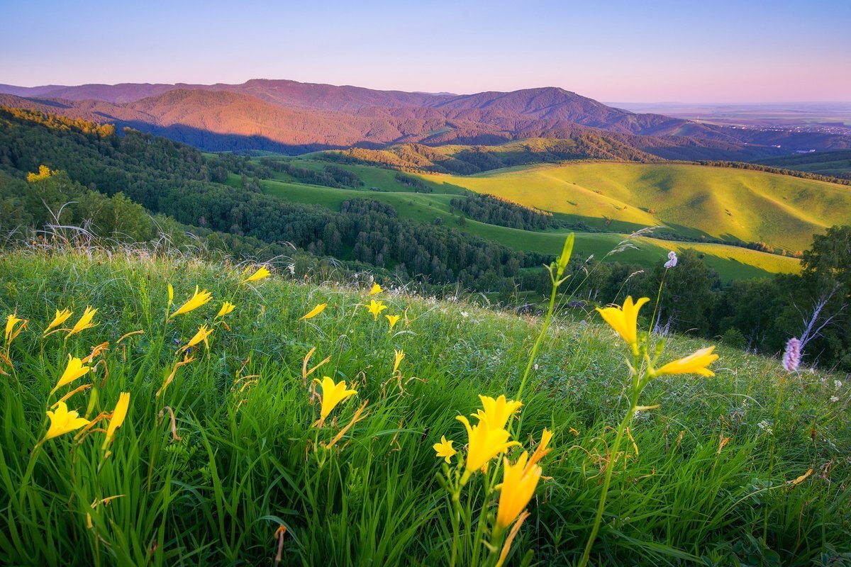 Фото из свободного доступа