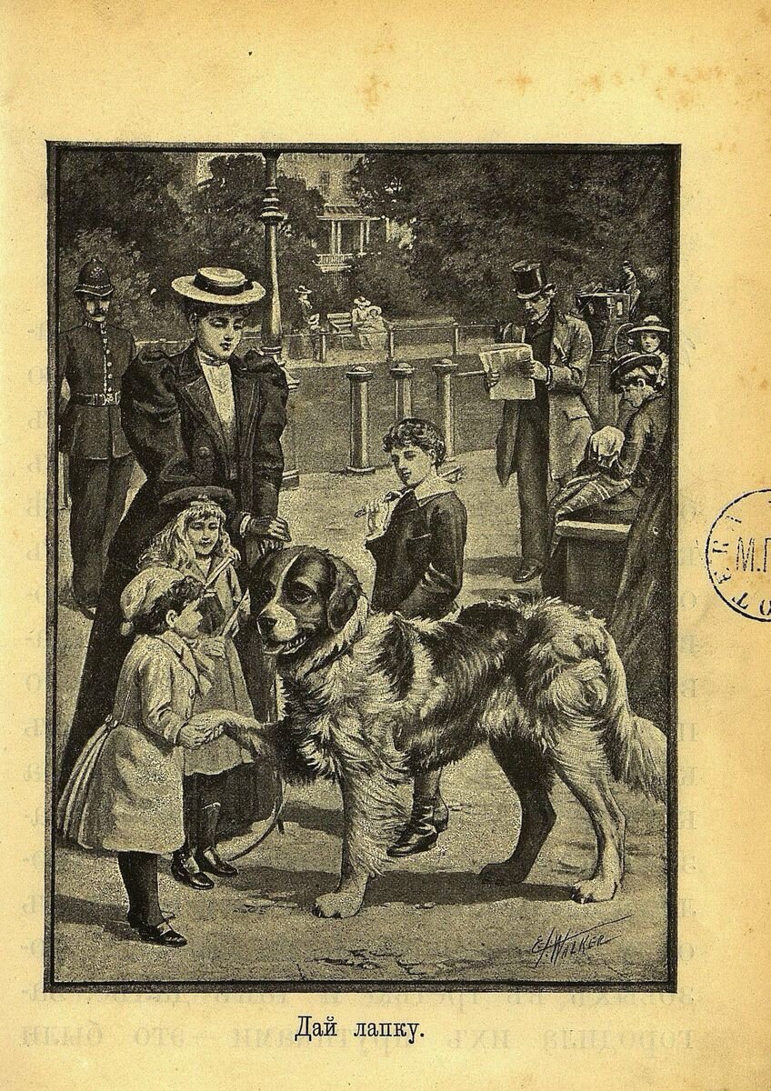 Дай лапку (Малютка, 1897 г., №8)