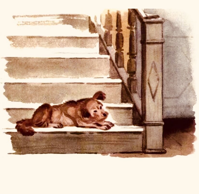 Собака из рассказа почему. Щенок на крыльце. Собака лежит на крыльце. Собака на крылечке. Щенок на лестнице.