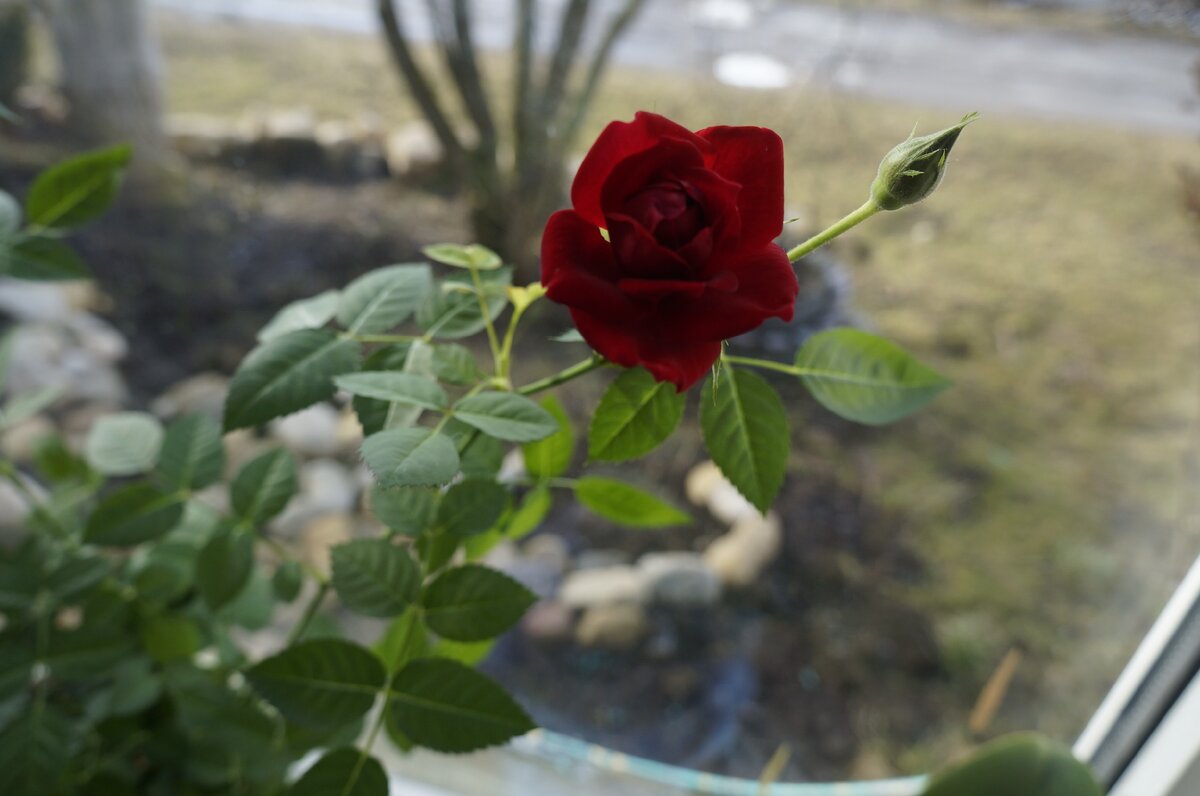 практика для укрепления иммунитета и исполнения желаний 