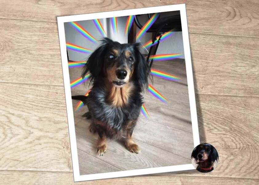 Буду благодарна, если поставите лайк и подпишетесь!  Вы поможете развитию канала