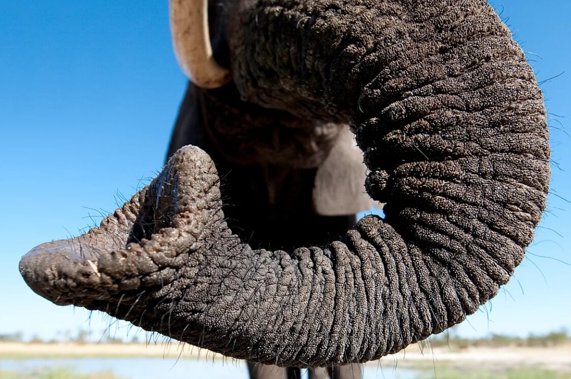 источник https://avatars.mds.yandex.net/get-pdb/1920375/c9e3609a-c551-4259-afbb-a36d70b03543/s1200