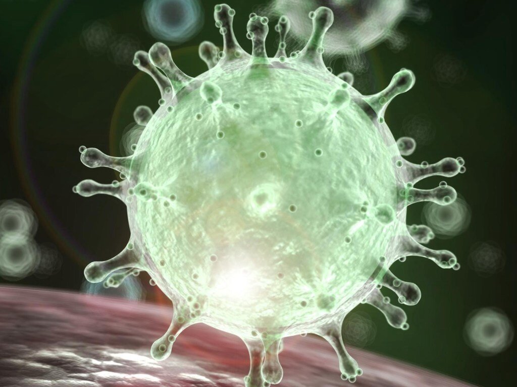 Коронавирус 