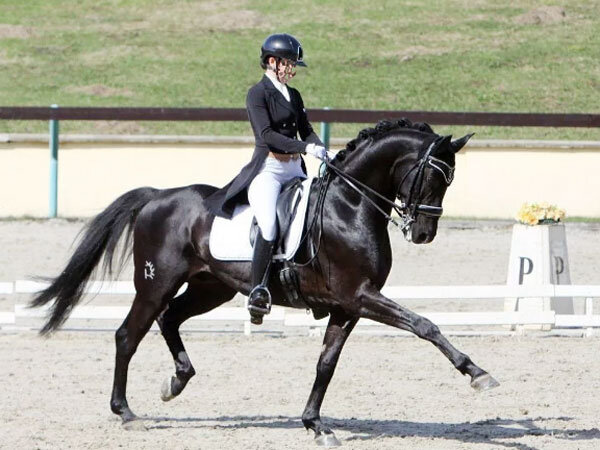 Источник фото сервис Яндекс.Картинки