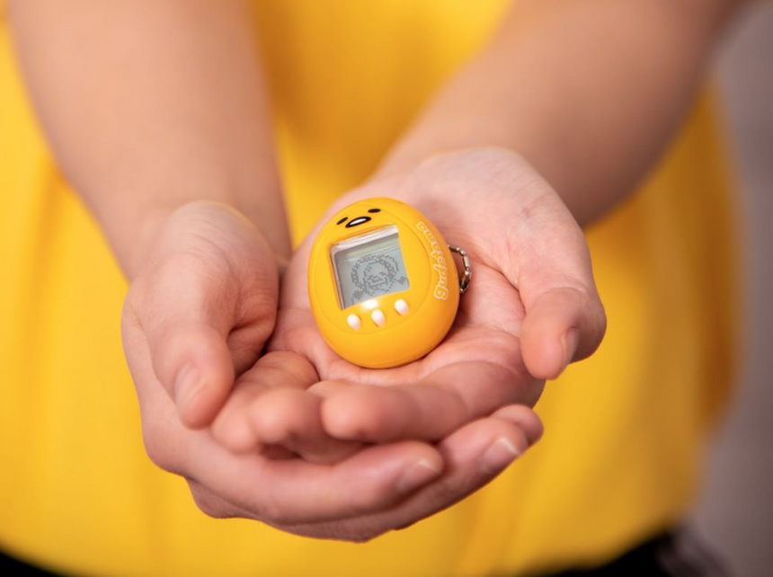  Слово  TAMAGOCHI произошло от двух слов: японского тамаго (яп. たまご, «яйцо») и англицизма уотти (яп. ウォッチ, от «Watch» — часы).