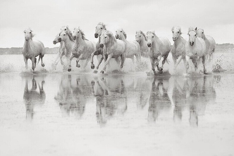 Источник: Drew Doggett