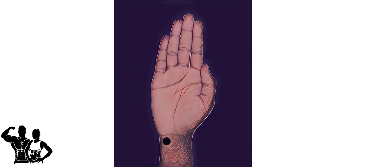 Рисунок 1.