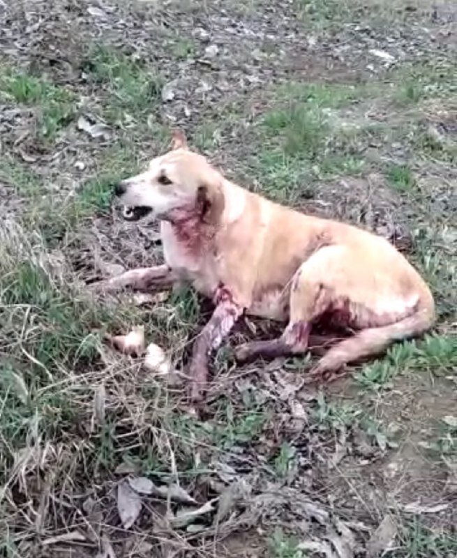скрин из видео