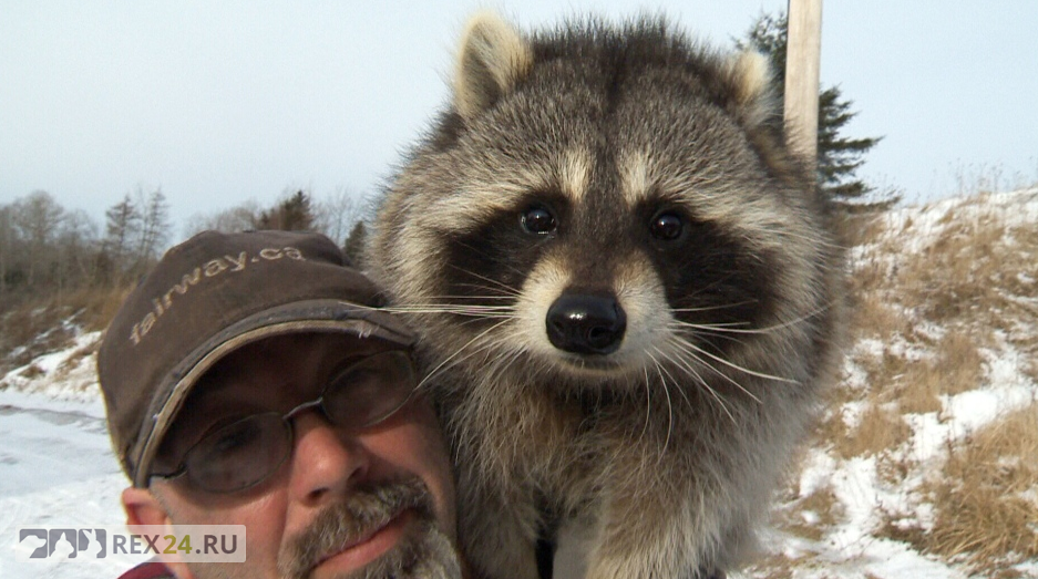 Фото: atlantic.ctvnews.ca